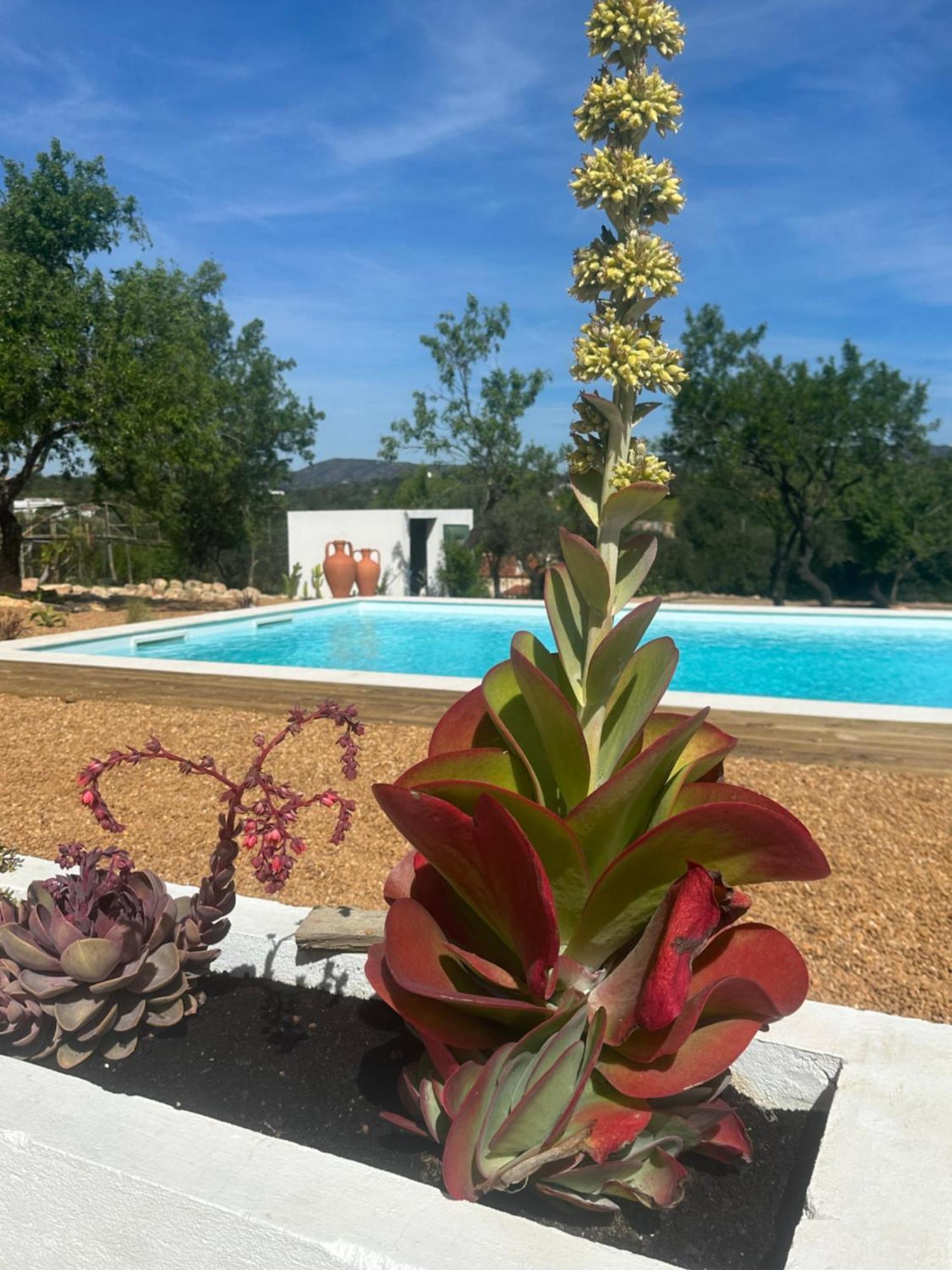 La Quinta Da Liberdade - Ferme De Charme En Algarve Villa Pechao Exterior photo